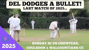 Image result for Chipstead Coulsdon & Walcountains Cricket Club