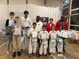 Image result for HEIWA SHOTOKAN KARATE CLUB