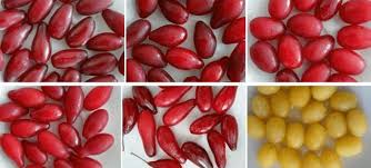 Attēlu rezultāti vaicājumam “Cornus mas fruit”