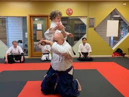 Image result for Ryuko Dojo