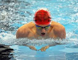 Image result for Morpeth Amateur Swimming Club