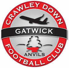 Image result for Crawley Down Netball Club