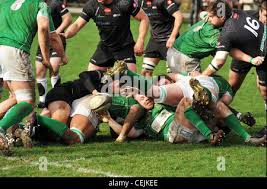 Image result for Wharfedale Rugby Union Football Club