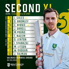 Image result for Downe Cricket Club