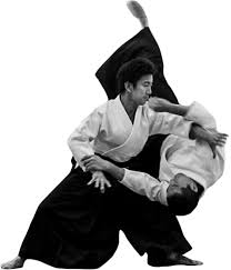 Image result for Matlock Aikido Club