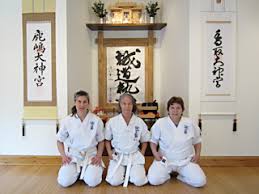 Image result for Aylesbury Vale Seido Karate