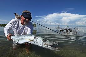 Image result for Sphyraena barracuda