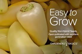 Afbeeldingsresultaat voor white habanero hot pepper