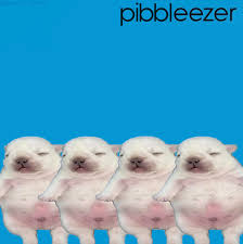 Image result for Weezadivers