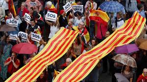 Image result for catalans universals
