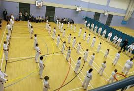 Image result for Cobra Karate Club