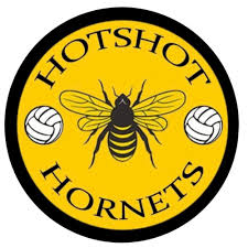 Image result for Hornets Netball Club