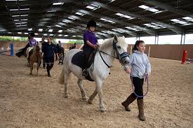 Image result for Riding For The Disabled
