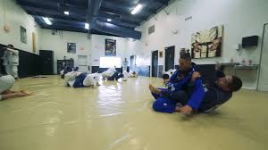 Image result for Weston Academy Of Martial Arts