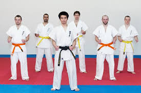 Image result for Ji Shin Do Karate