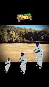 Image result for Waverley Cricket Club
