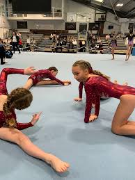 Image result for Heathrow Gymnastics Club