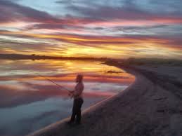 Image result for Newhaven Deep Sea Anglers