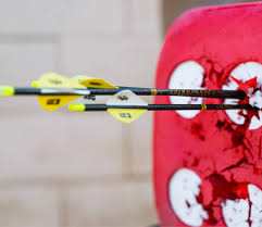 Image result for Muckamore Company Of Archers