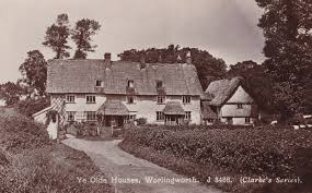 Image result for Worlingworth Cricket Club