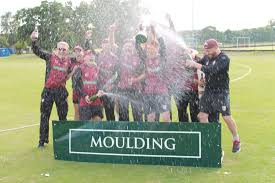 Image result for South Wilts Cricket Club