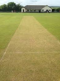 Image result for North Devon Cricket Club