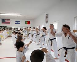 Image result for Katakuri Karate