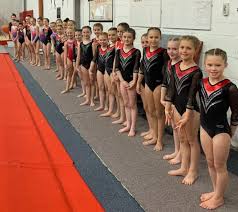 Image result for Stockport School Of Gymnastics
