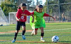 Image result for Surrey Sports Development Unit