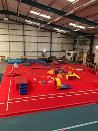 Image result for Swallows Trampoline Club