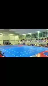 Image result for Wyvern Dragons Badminton Club