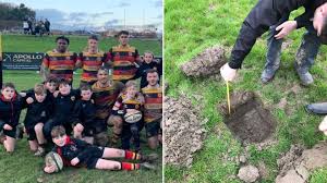 Image result for Harrogate Rugby Football Club