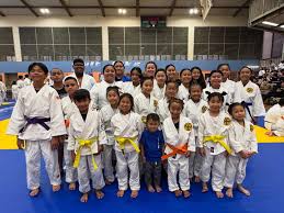 Image result for Halewood Inclusive Judo Club