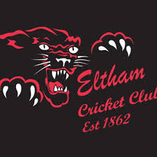 Image result for Ledsham Cricket Club