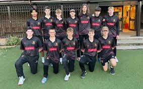 Image result for Walton Working Men Cricket Club