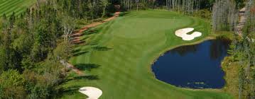Image result for Avondale Gc