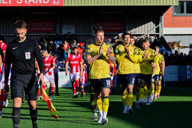 Image result for Dorking Football Club Limited