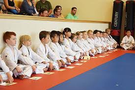 Image result for Kidderminster Tae Kwon Do Tigers