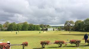 Image result for Welwyn Garden City Cricket Club