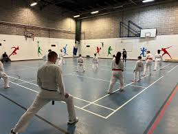 Image result for Newport Kyokushin Karate Club