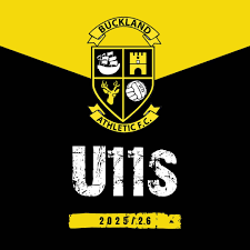 Image result for Buckland & Milber Football Club