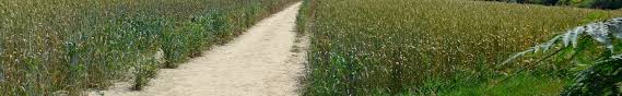 Image result for EXETER RAMBLING CLUB