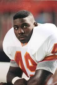 Attēlu rezultāti vaicājumam “Didymium minus young”