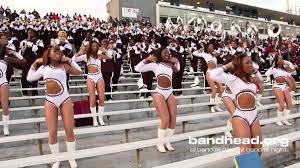 Image result for Merriott Majorettes