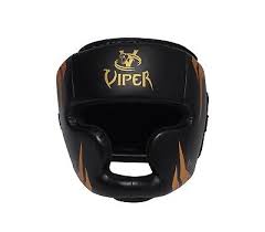 Image result for Vipers Thai/Kickboxing School