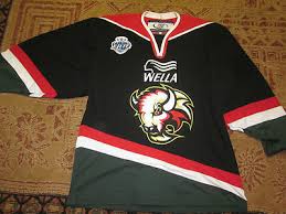 Image result for Basingstoke Bison Ice Hockey Club