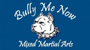 Image result for Bully Me Now Mixed Martial Arts
