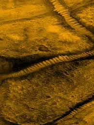 Image result for mars anomalies