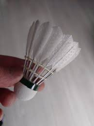 Image result for Feathers (New Milton) Badminton Club