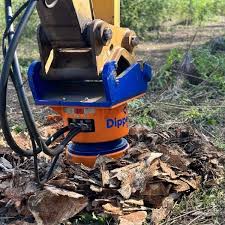 Image result for dipperfox tehron